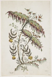 Assiette de fleurs. Chinoiserie.